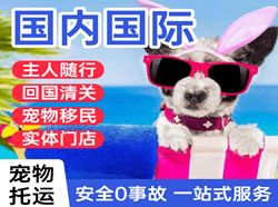 张家界荷花机场货运国际宠物托运 【国